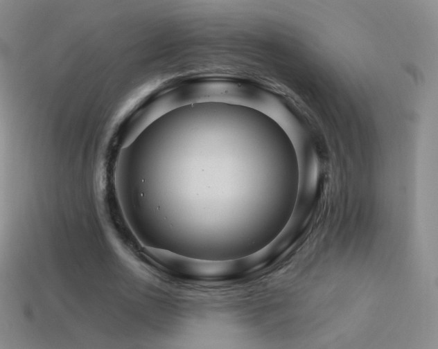 X0000114400726200910161314