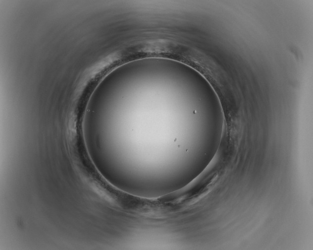 X0000114400727200910161314