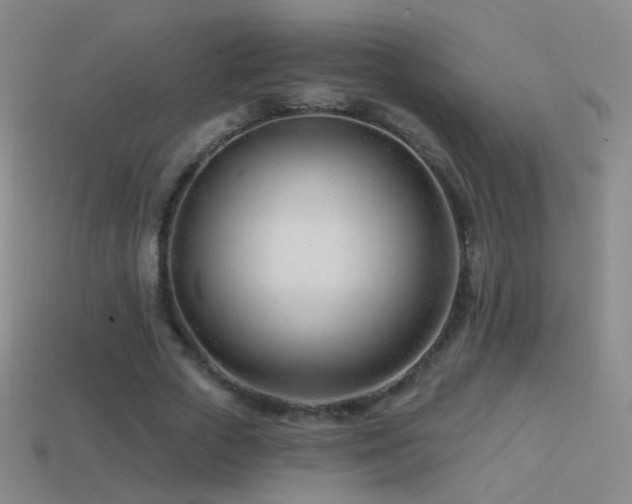 X0000114400729200910161314