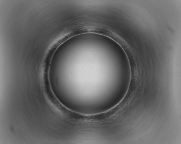 X0000114400730200910161314