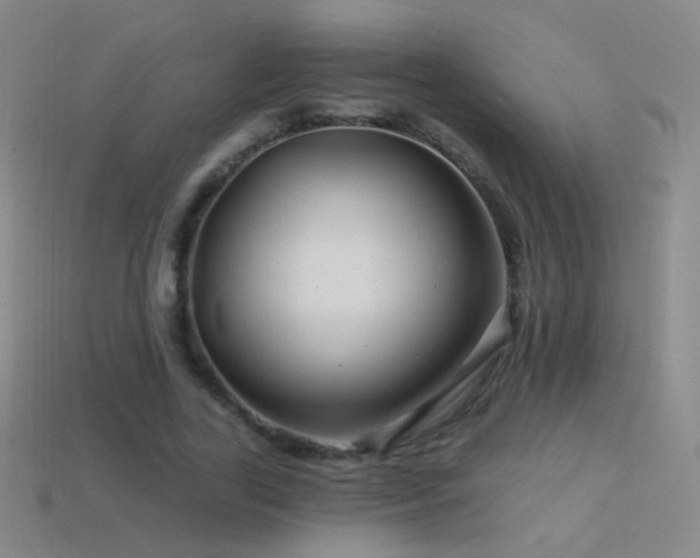 X0000114400731200910161314