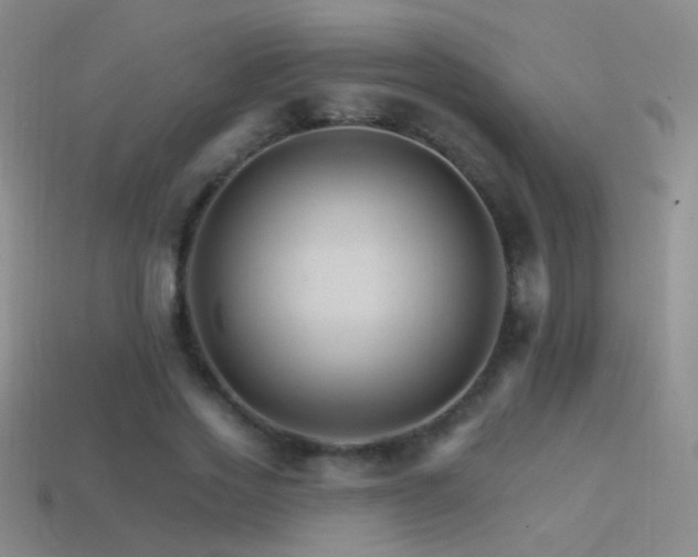 X0000114400733200910161314