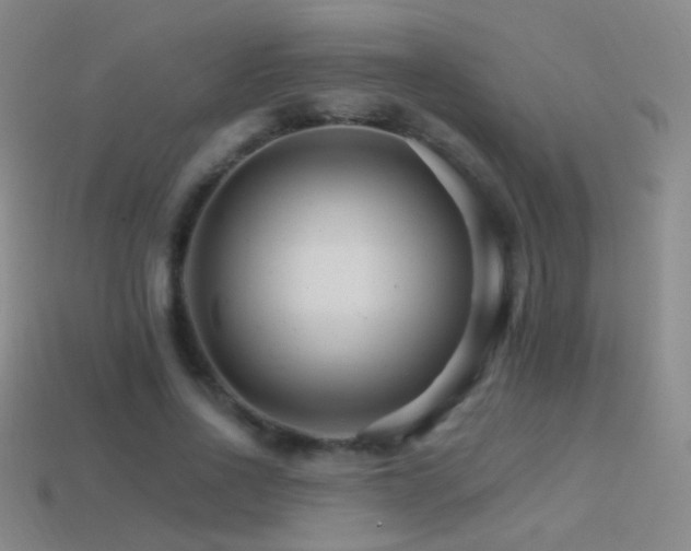 X0000114400734200910161314