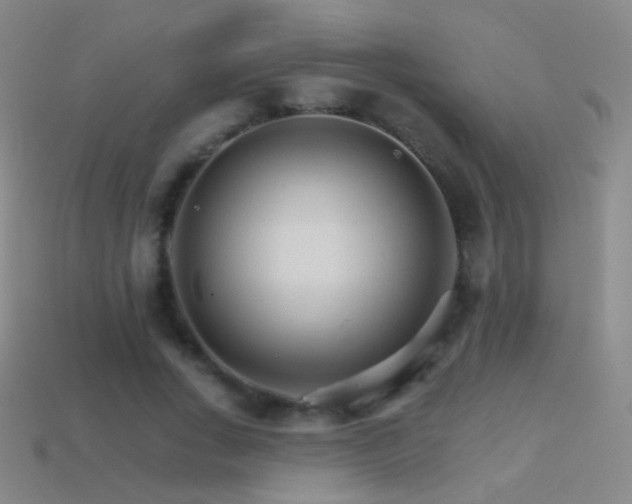 X0000114400735200910161314