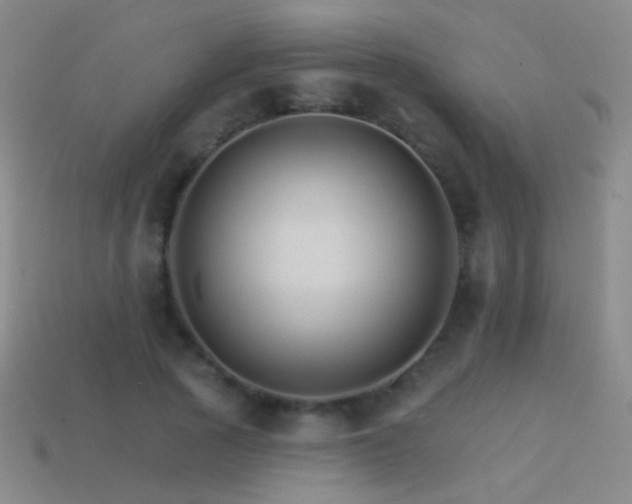 X0000114400737200910161314