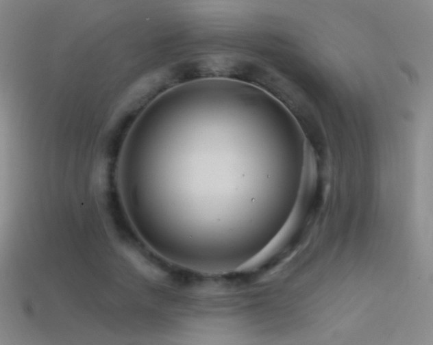 X0000114400738200910161314