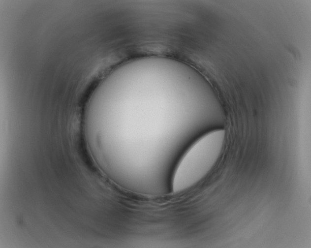 X0000114400739200910161314