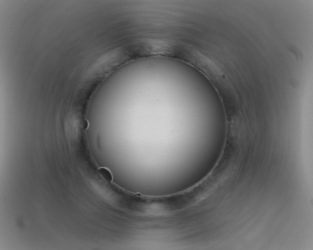 X0000114400741200910161314