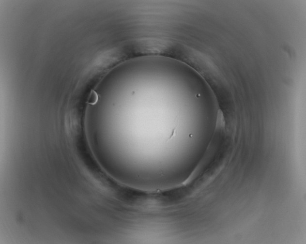 X0000114400743200910161314