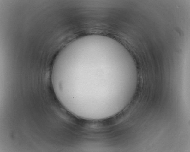 X0000114400745200910161315