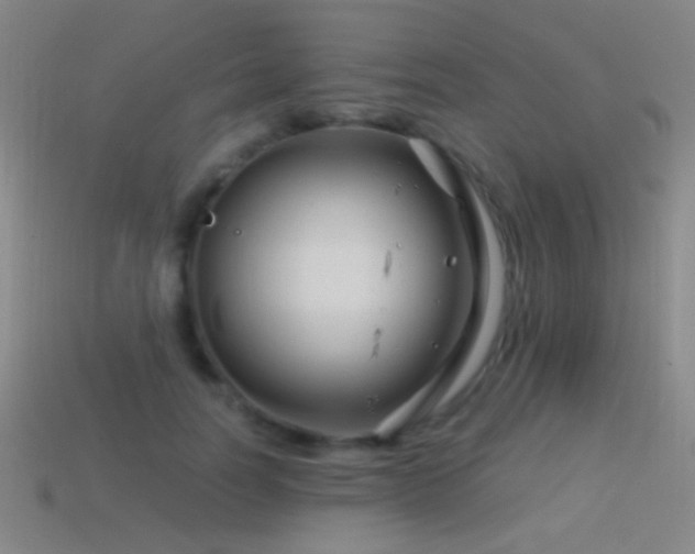 X0000114400746200910161315