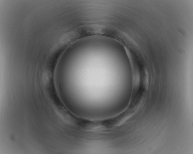 X0000114400747200910161315