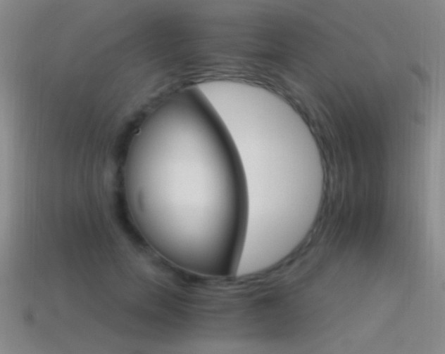 X0000114400750200910161315