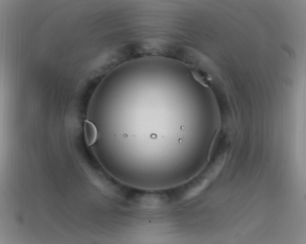 X0000114400751200910161315