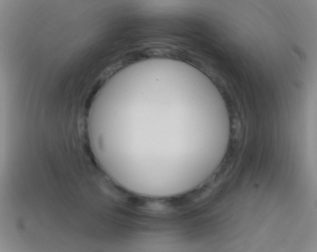 X0000114400753200910161315