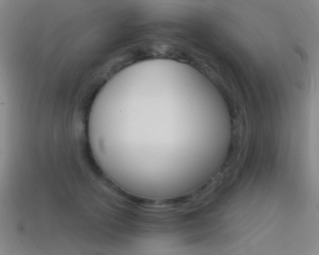 X0000114400754200910161315