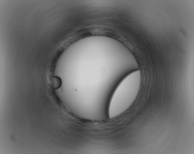 X0000114400755200910161315