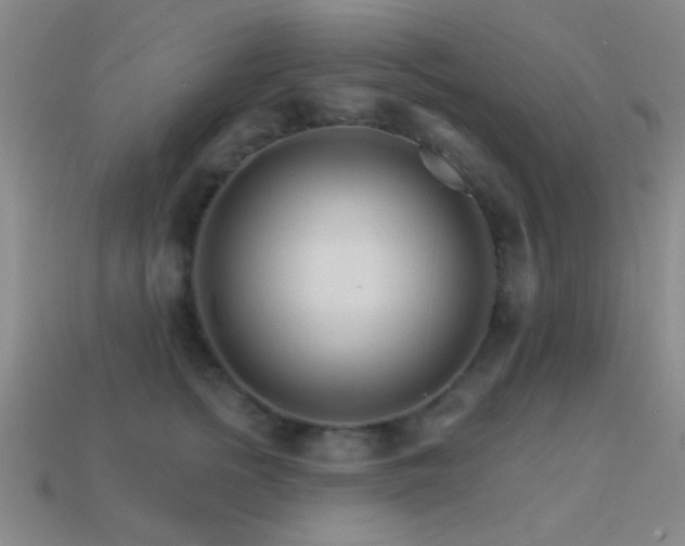 X0000114400758200910161315