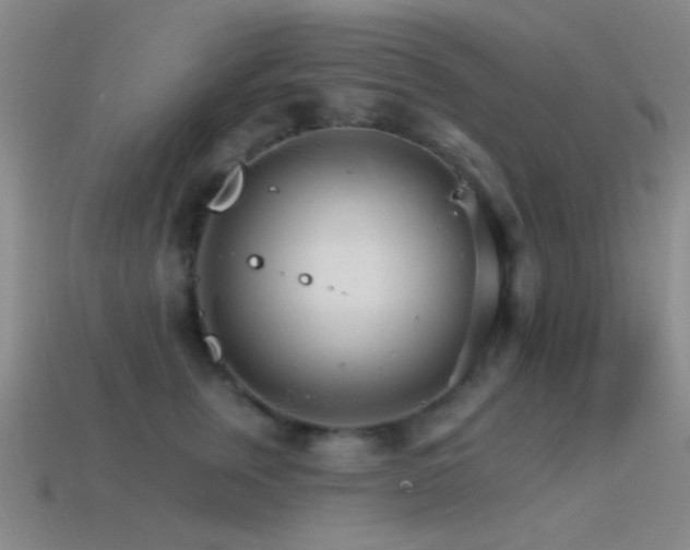 X0000114400759200910161315