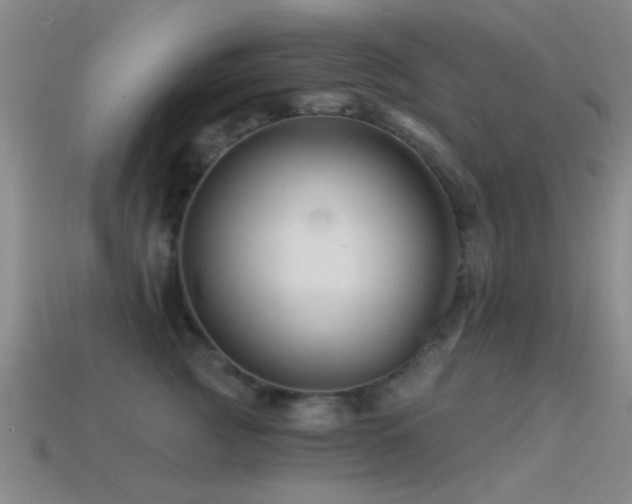 X0000114400761200910161315