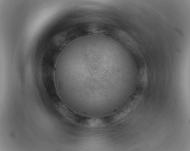 X0000114400762200910161315