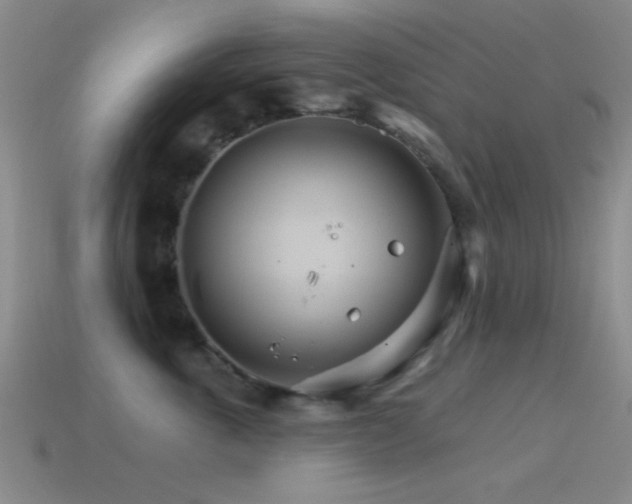 X0000114400763200910161315