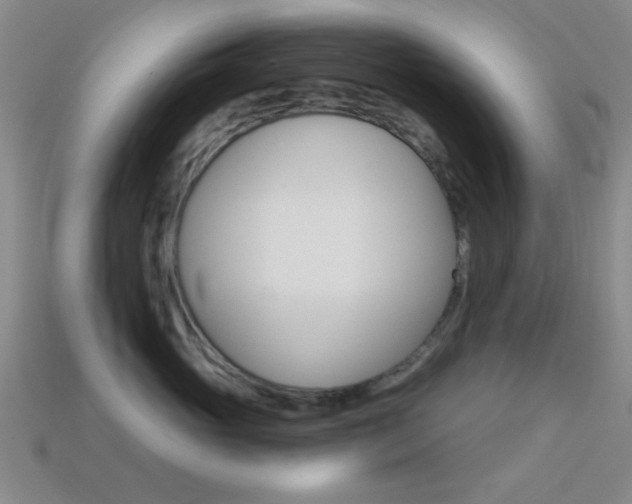 X0000114400765200910161315