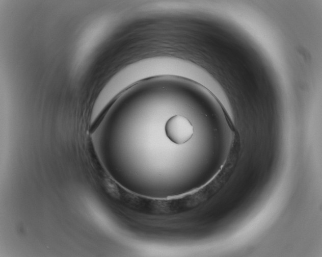 X0000114400766200910161315