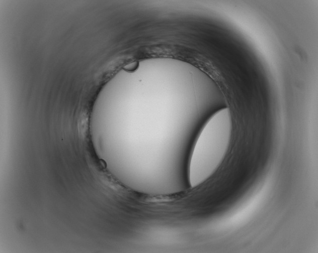 X0000114400767200910161315