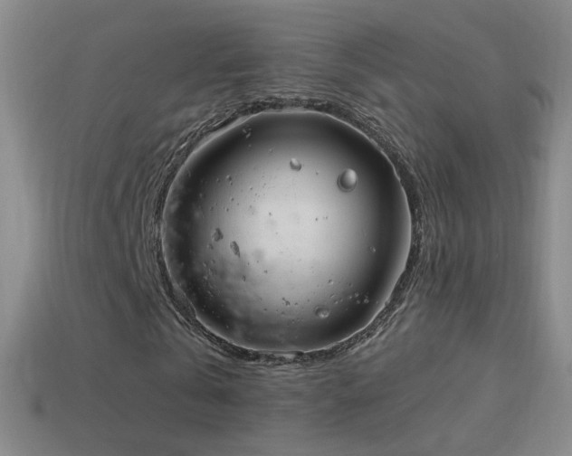 X0000114400769200910161314