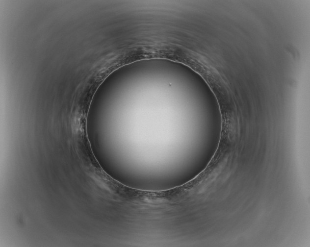 X0000114400770200910161314