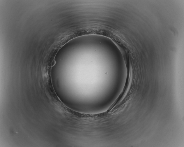 X0000114400771200910161314