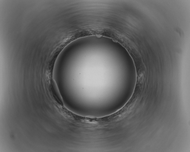 X0000114400772200910161314