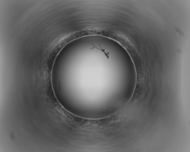 X0000114400773200910161314