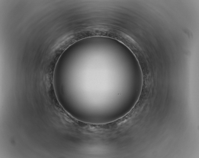 X0000114400774200910161314