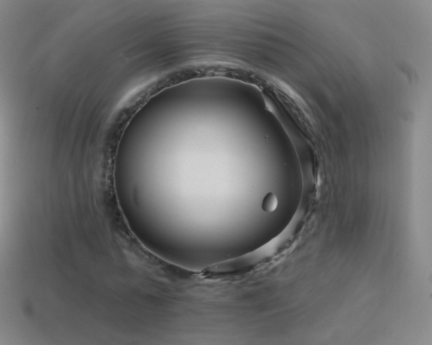 X0000114400775200910161314