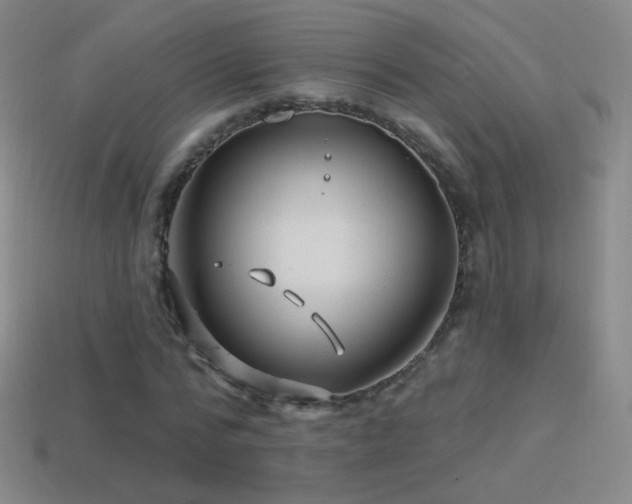 X0000114400776200910161314