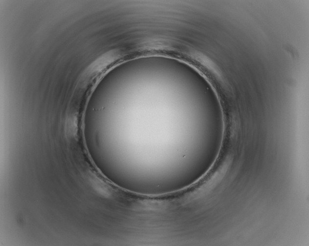 X0000114400777200910161314