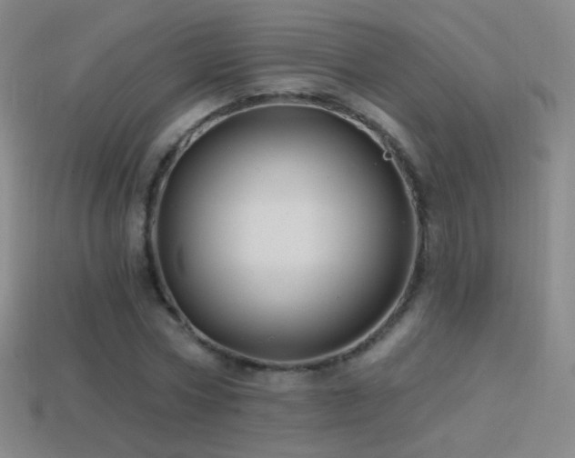 X0000114400778200910161314