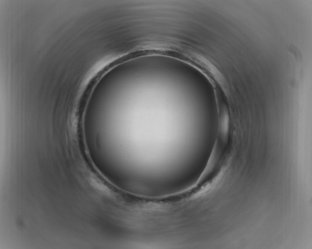 X0000114400779200910161314