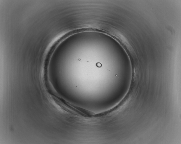 X0000114400780200910161314