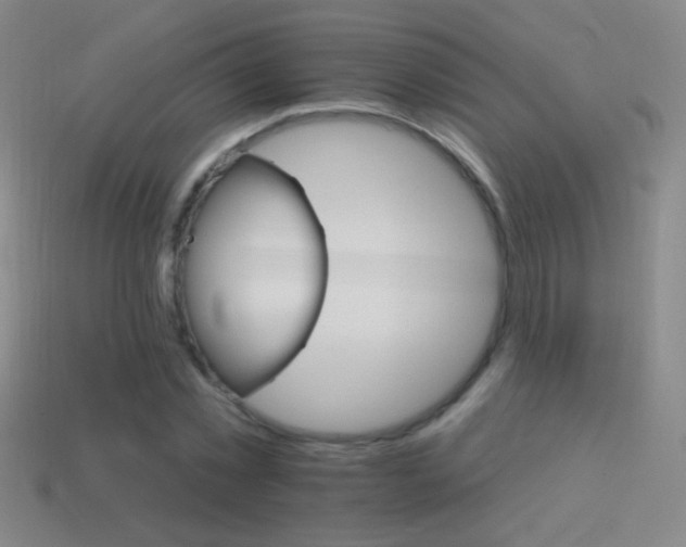 X0000114400781200910161314