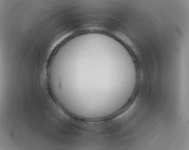 X0000114400782200910161314