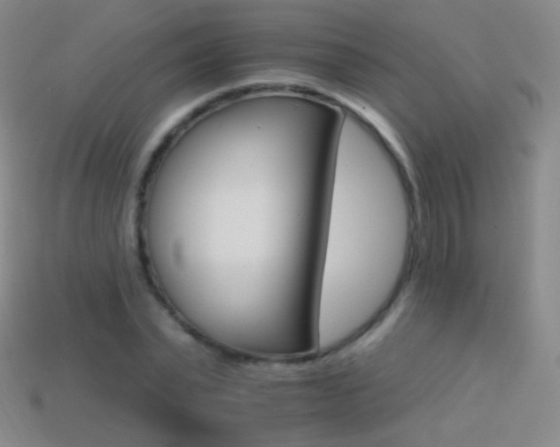 X0000114400783200910161314