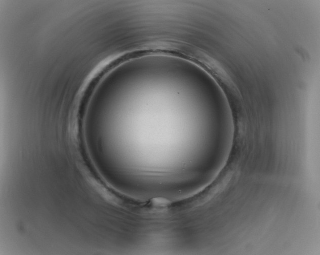 X0000114400784200910161314