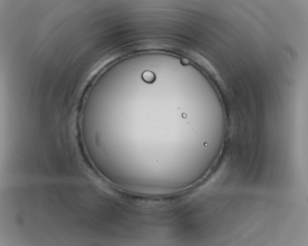 X0000114400786200910161314