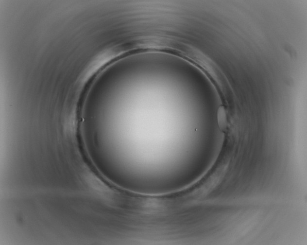 X0000114400787200910161314