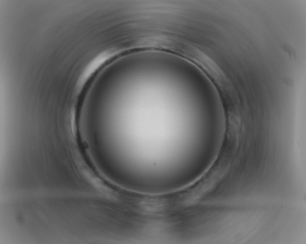 X0000114400788200910161314