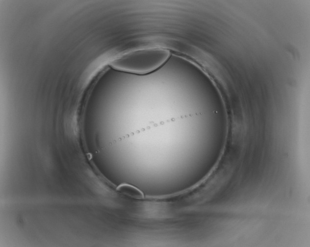 X0000114400789200910161314