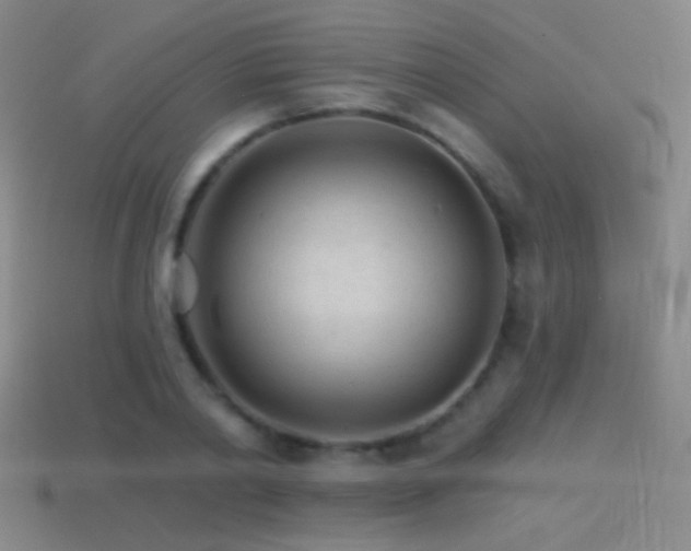 X0000114400790200910161314